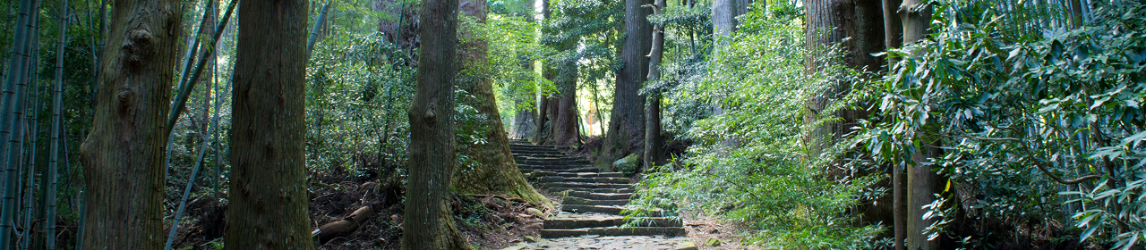 コラム 熊野古道から世界のイマを届ける